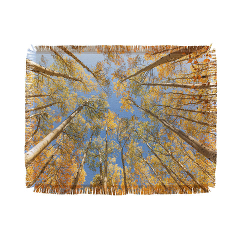 Ann Hudec Colorado Autumn Aspens Throw Blanket