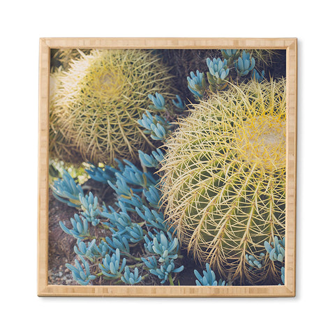 Ann Hudec Desert Cactus Garden Framed Wall Art