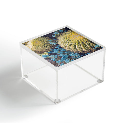 Ann Hudec Desert Cactus Garden Acrylic Box