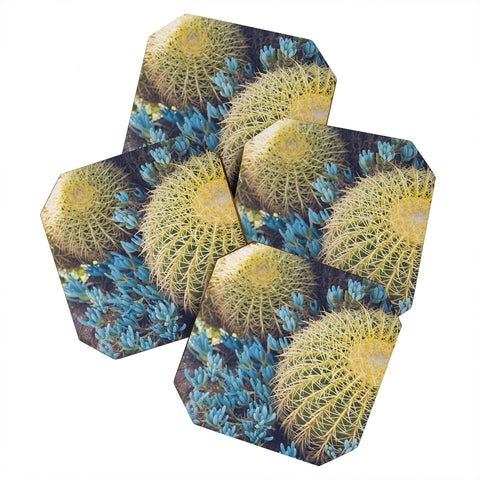 Ann Hudec Desert Cactus Garden Coaster Set