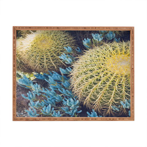 Ann Hudec Desert Cactus Garden Rectangular Tray