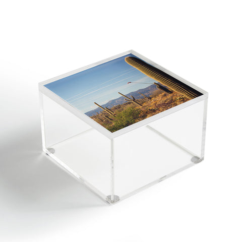 Ann Hudec Desert Heart II Acrylic Box