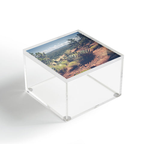 Ann Hudec Desert Wild Acrylic Box