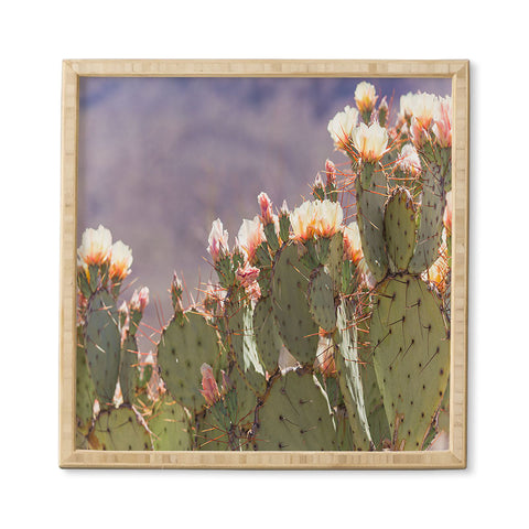Ann Hudec Prickly Pear Cactus Blooms Framed Wall Art