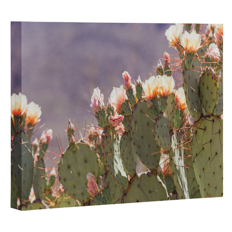 Ann Hudec Prickly Pear Cactus Blooms Art Canvas