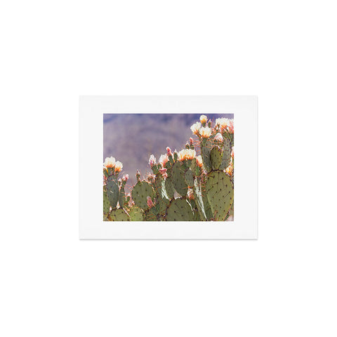 Ann Hudec Prickly Pear Cactus Blooms Art Print