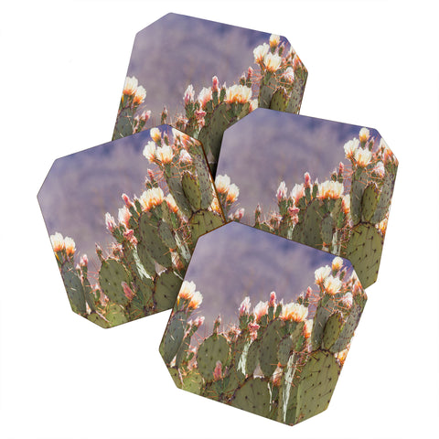 Ann Hudec Prickly Pear Cactus Blooms Coaster Set