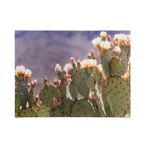 Ann Hudec Prickly Pear Cactus Blooms Poster