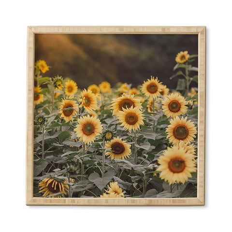 Ann Hudec Sunflower Morning Framed Wall Art