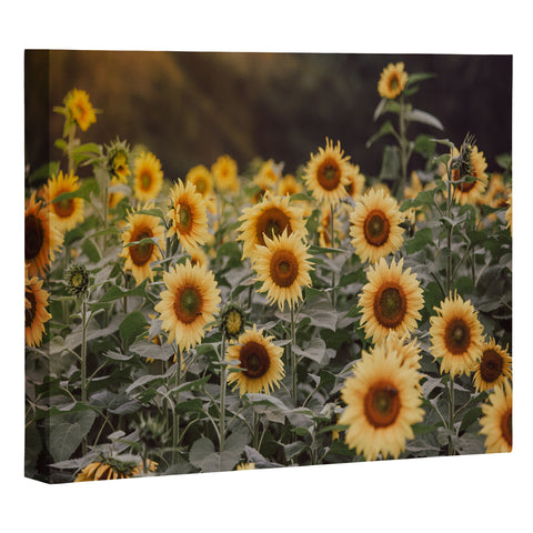 Ann Hudec Sunflower Morning Art Canvas