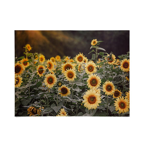 Ann Hudec Sunflower Morning Poster