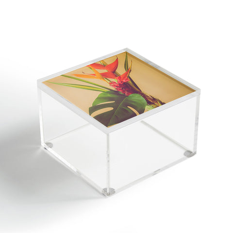 Ann Hudec Tropical Blush Acrylic Box