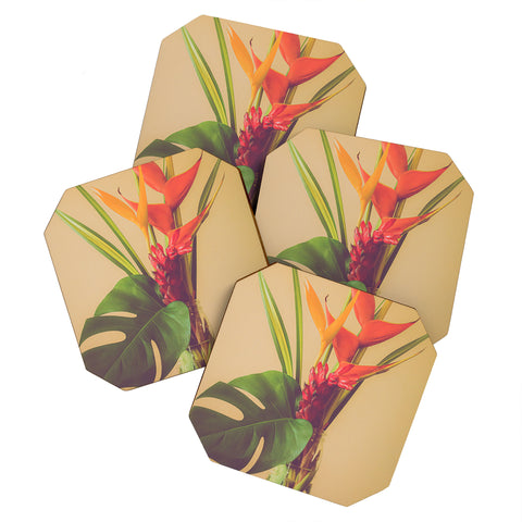 Ann Hudec Tropical Blush Coaster Set