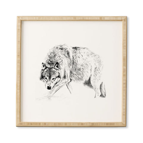 Anna Shell Crouching wolf pencil Framed Wall Art