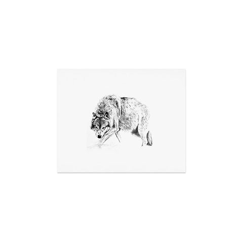 Anna Shell Crouching wolf pencil Art Print