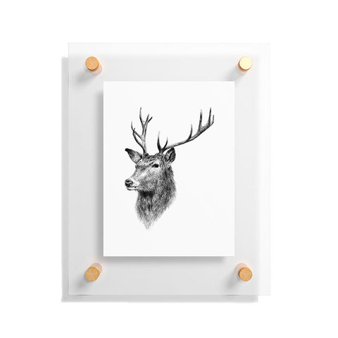 Anna Shell Deer horns Floating Acrylic Print