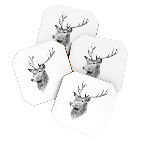 Anna Shell Deer horns Coaster Set