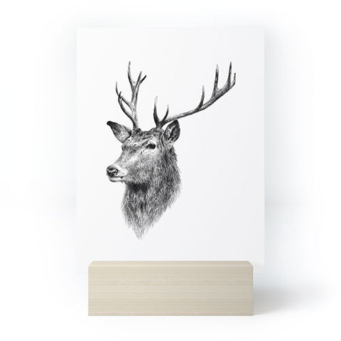 Anna Shell Deer horns Mini Art Print