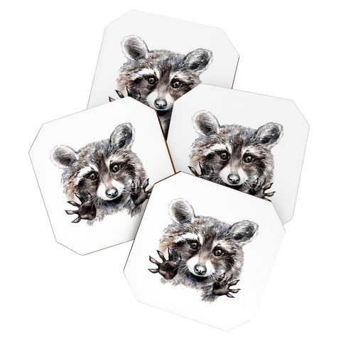Anna Shell Magic raccoon Coaster Set