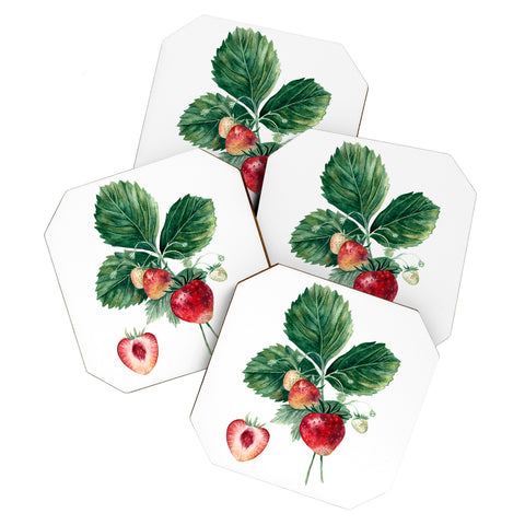 Anna Shell Strawberry botanical art Coaster Set