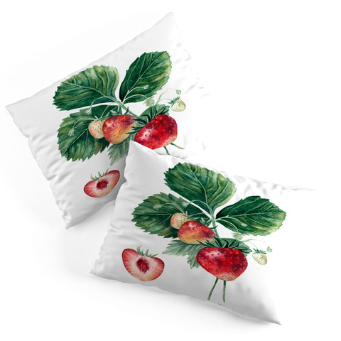 Anna Shell Strawberry botanical art Pillow Shams