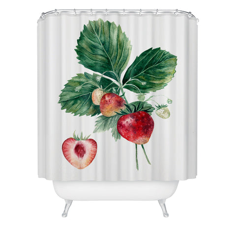 Anna Shell Strawberry botanical art Shower Curtain