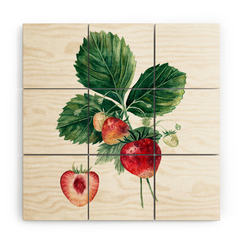 Anna Shell Strawberry botanical art Wood Wall Mural