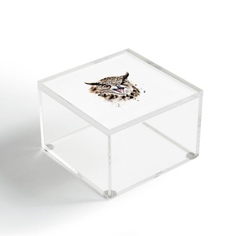 Anna Shell Winking Owl Acrylic Box