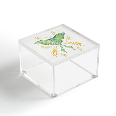 Avenie Luna Moth Classic Green Acrylic Box