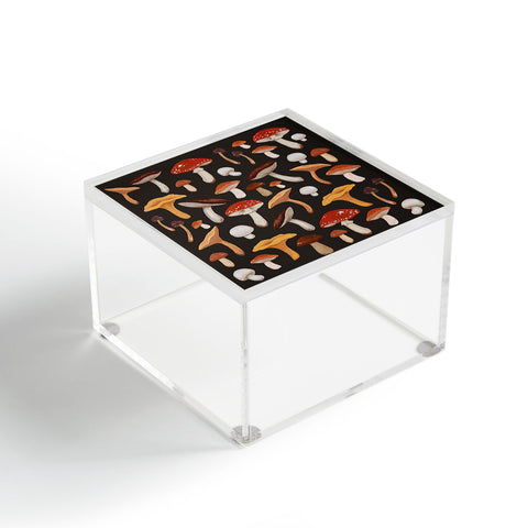 Avenie Mushroom Medley Acrylic Box