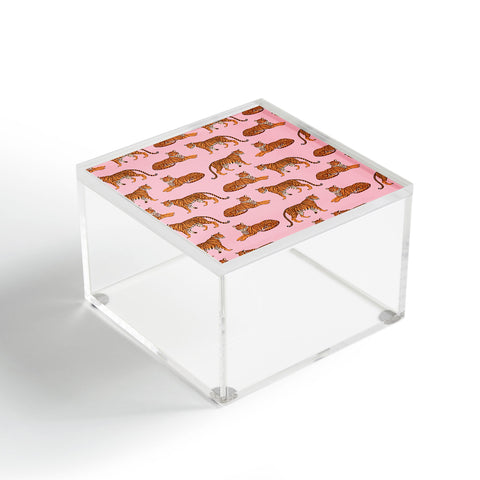 Avenie Tigers in Pink Acrylic Box