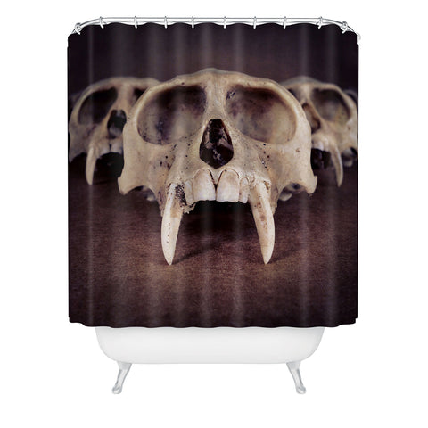 Ballack Art House Theories Of Early Man Shower Curtain