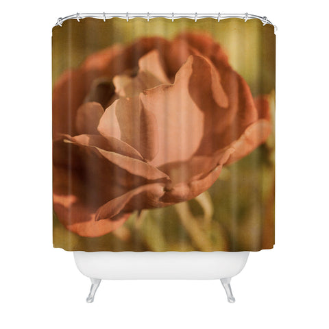 Barbara Sherman A Rose By Any Name Shower Curtain