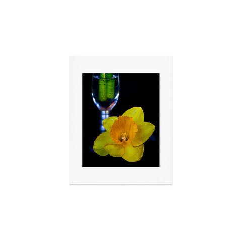 Barbara Sherman Daffodil Art Print