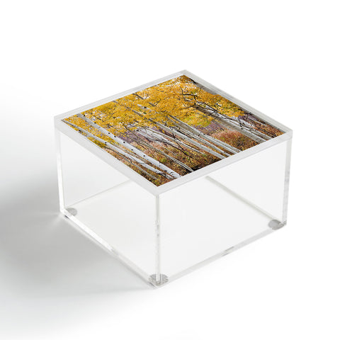Barbara Sherman Golden Aspens Acrylic Box