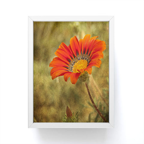 Barbara Sherman Orange Glory Framed Mini Art Print