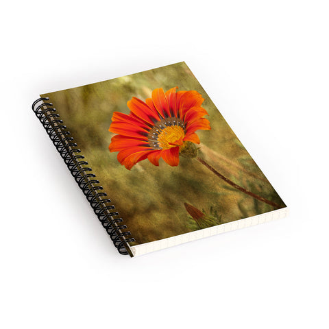 Barbara Sherman Orange Glory Spiral Notebook