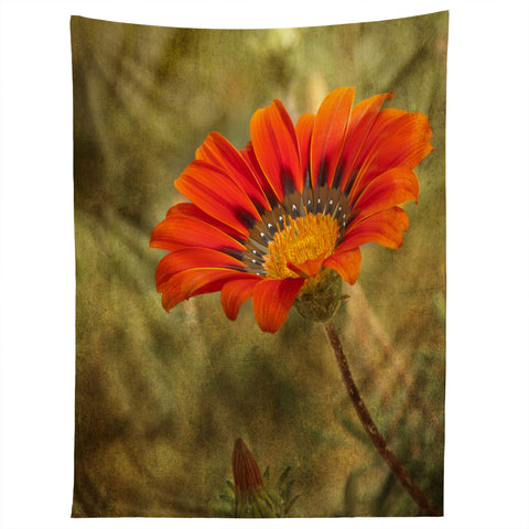 Barbara Sherman Orange Glory Tapestry