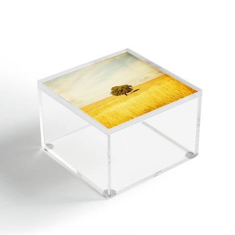 Barbara Sherman Solitary Acrylic Box
