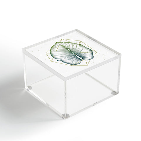 Barlena Geometry and Nature II Acrylic Box