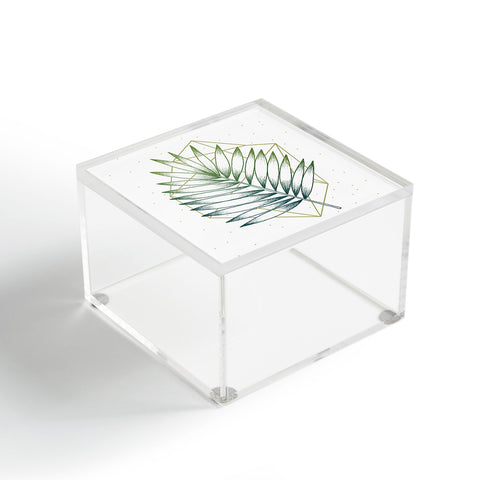 Barlena Geometry and Nature IV Acrylic Box