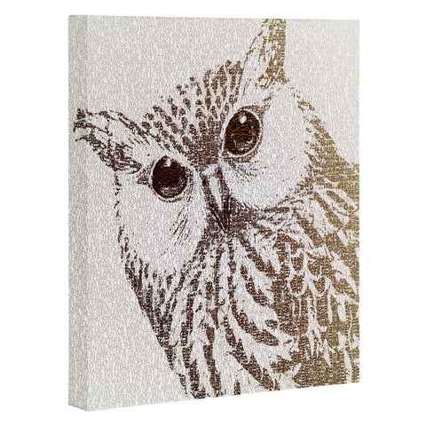 Belle13 The Intellectual Owl Art Canvas