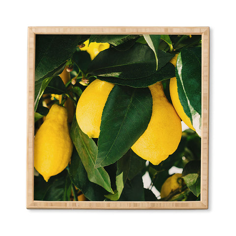 Bethany Young Photography Amalfi Coast Lemons Framed Wall Art