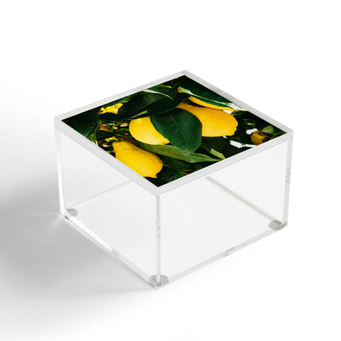 Bethany Young Photography Amalfi Coast Lemons Acrylic Box