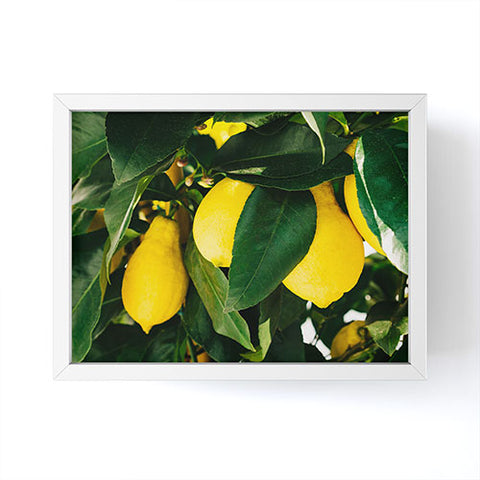 Bethany Young Photography Amalfi Coast Lemons Framed Mini Art Print