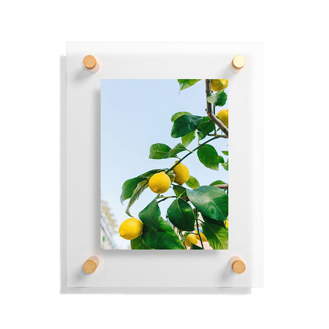 Bethany Young Photography Amalfi Coast Lemons III Floating Acrylic Print