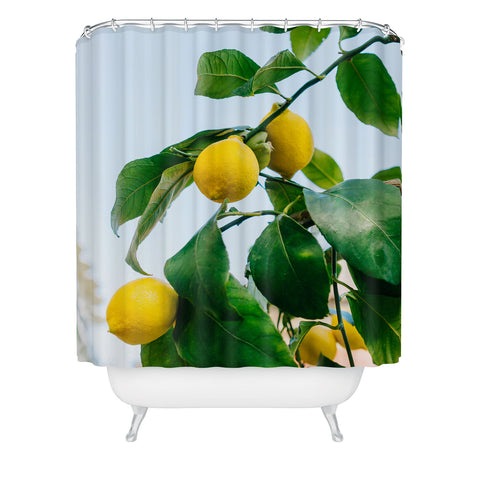 Bethany Young Photography Amalfi Coast Lemons III Shower Curtain
