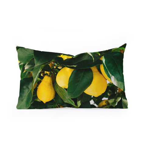 Bethany Young Photography Amalfi Coast Lemons Oblong Throw Pillow