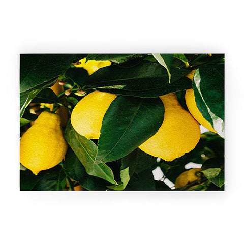 Bethany Young Photography Amalfi Coast Lemons Welcome Mat