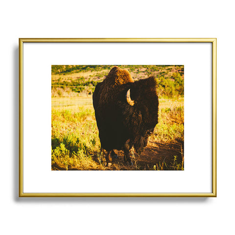 Bethany Young Photography Beauty Beast Metal Framed Art Print